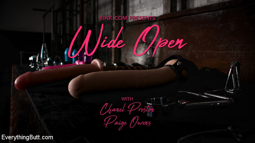 Wide Open: Chanel Preston Stretches Out Paige Owens' Permagape Asshole