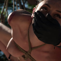 Bound in the Sun