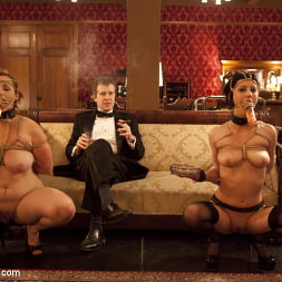 Cigars Scotch and Blowjobs