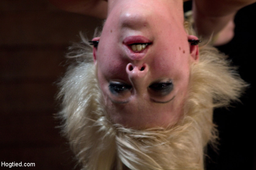 Hot blond suffers though a brutal Category 5 inverted suspension. How many orgasms can she take
