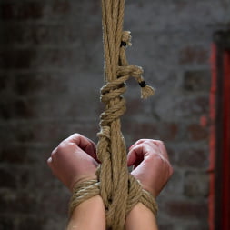 Cute blonde suffers the hardest hour on the internet The Hogtied Live Show Strict strappado