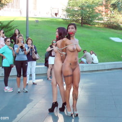 EVERY Slave Pussy Disgraced in Public European Fuckfest!
