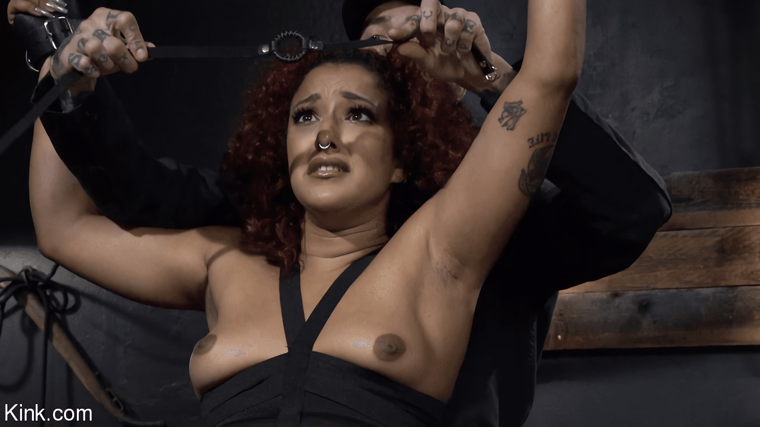 Asphalt Island, Part 2: Daisy Ducati and Ruckus