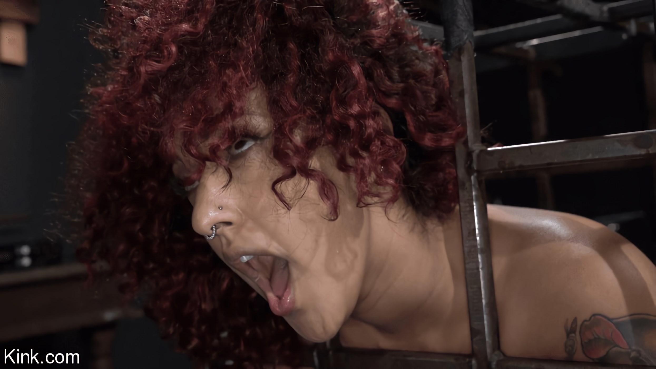 Asphalt Island, Part 2: Daisy Ducati and Ruckus