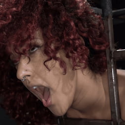 Asphalt Island, Part 2: Daisy Ducati and Ruckus