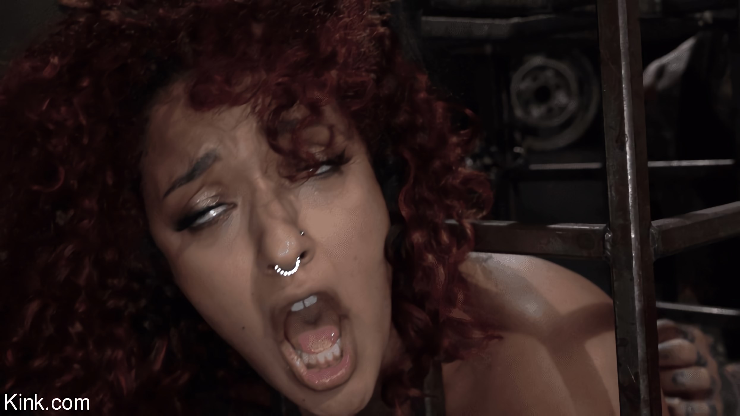 Asphalt Island, Part 2: Daisy Ducati and Ruckus