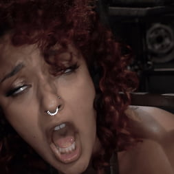 Asphalt Island, Part 2: Daisy Ducati and Ruckus