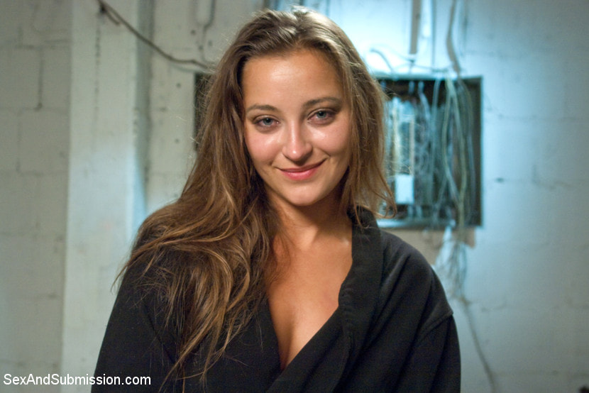 The Heist: Dani Daniels Thrilling BDSM Movie