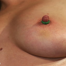 汗がかきつぶされるまで乳房の乳首の残虐性