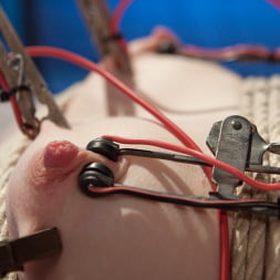 Electroslut Next Door