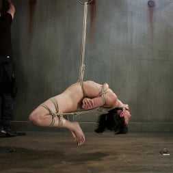 This Bitch Will Suffer in My Ropes!!!