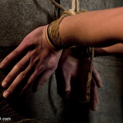 Young Rope Slut Gets a Full Day of Intense Bondage - Live