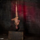 Elise Graves in 'Young Rope Slut Gets a Full Day of Intense Bondage - Live'