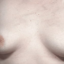 Asphalt Island, Part 4: Ella Nova