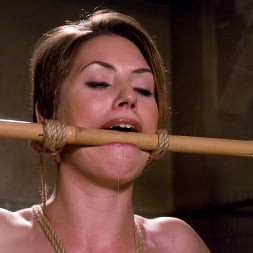 Sarah Shevon fist fucked by Felony