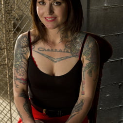 Once a Porn Star Always a Porn Star