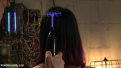 Freya French - Violet Wand Electrical Play | Picture (4)