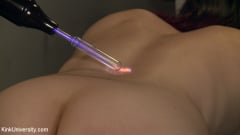 Freya French - Violet Wand Electrical Play | Picture (22)
