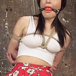 Petite Bondage Slut Gets her Holes Destroyed in Grueling Bondage