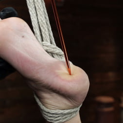 Gia DiMarco is Back! Grueling Bondage And Mind-Blowing Orgasms