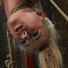 Haley Cummings in '19yr old blond with huge F size breasts is made to cum over and over. Suffers horrific bondage!'