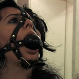 Tied Up in the Streets and Fucked in a Bar