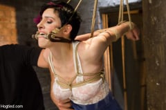 Iona Grace - Requests Fulfilled: Impossible Bondage Positions | Picture (15)