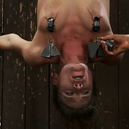 Ariel X is trapped in an inverted Sybian and cumming No hope for escape - only screaming.