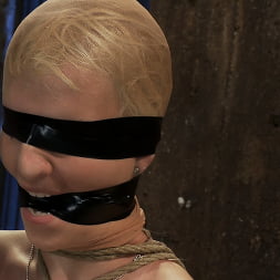 BONDAGE TUTORIAL: How to properly do a chair tie, we also teach you the secret of the INSEX mask