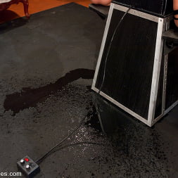 Isis Love bound to the Sybian, squirting puddles
