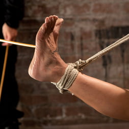 Sexy Amber has her elbows bound together, ankles to neck, and endures foot caning, brutal orgasms.