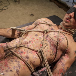 Mz. Berlin Humiliates, Fucks, and Punishes Slave with No Limits