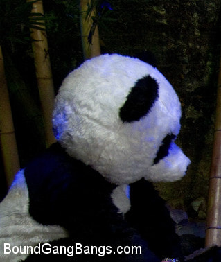 PANDAMONIUM!!! PANDA LULLABY!!! PANDA PORNO!!!!!