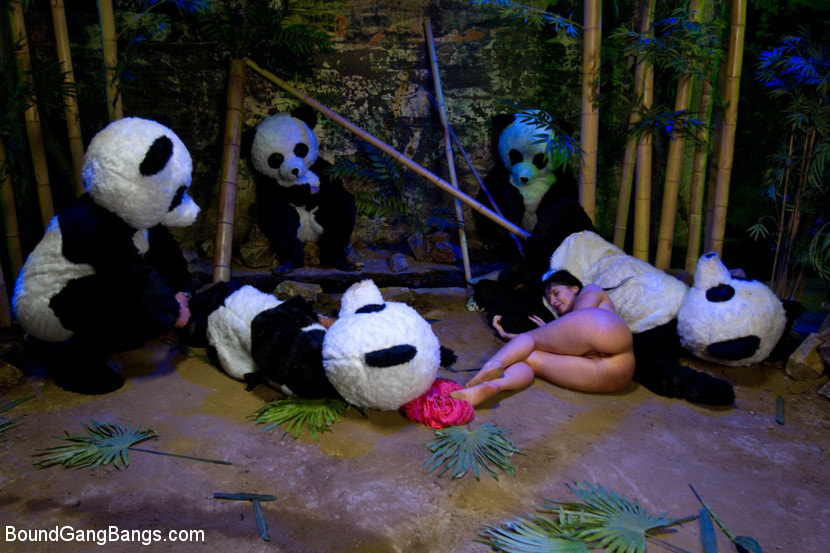 PANDAMONIUM!!! PANDA LULLABY!!! PANDA PORNO!!!!!