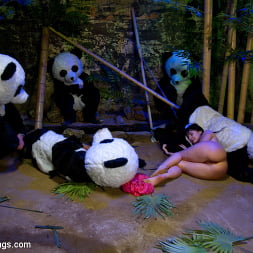 PANDAMONIUM!!! PANDA LULLABY!!! PANDA PORNO!!!!!