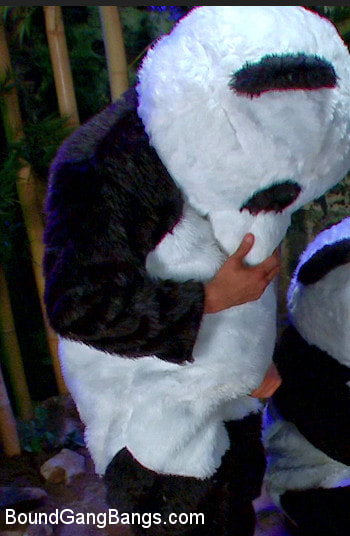 PANDAMONIUM!!! PANDA LULLABY!!! PANDA PORNO!!!!!