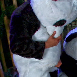 PANDAMONIUM!!! PANDA LULLABY!!! PANDA PORNO!!!!!