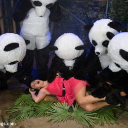 PANDAMONIUM!!! PANDA LULLABY!!! PANDA PORNO!!!!!