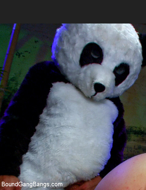 PANDAMONIUM!!! PANDA LULLABY!!! PANDA PORNO!!!!!