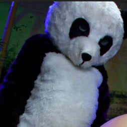 PANDAMONIUM!!! PANDA LULLABY!!! PANDA PORNO!!!!!