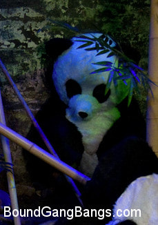 PANDAMONIUM!!! PANDA LULLABY!!! PANDA PORNO!!!!!