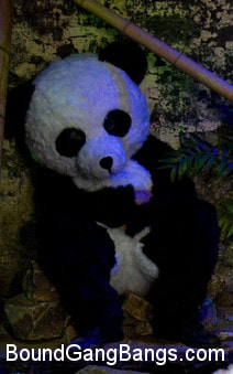 PANDAMONIUM!!! PANDA LULLABY!!! PANDA PORNO!!!!!