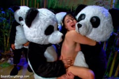 Ashli Orion - PANDAMONIUM!!! PANDA LULLABY!!! PANDA PORNO!!!!! | Picture (9)
