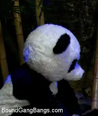 Ashli Orion - PANDAMONIUM!!! PANDA LULLABY!!! PANDA PORNO!!!!! | Picture (10)