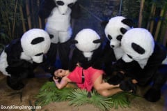 Ashli Orion - PANDAMONIUM!!! PANDA LULLABY!!! PANDA PORNO!!!!! | Picture (14)