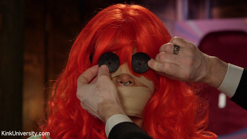 Dollification 101: How to Be an Owner or a Dolly