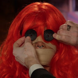Dollification 101: How to Be an Owner or a Dolly