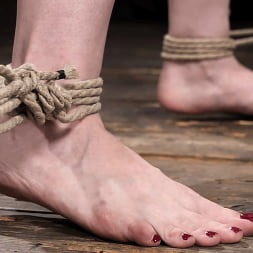 Jessica Ryan: Reunited in Rope