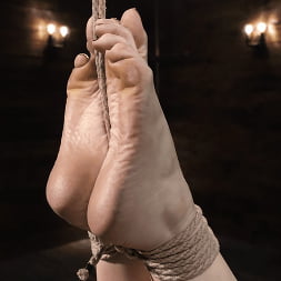 Jessica Ryan: Reunited in Rope