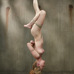 Petite Blonde Gets Destroyed in Extreme Bondage